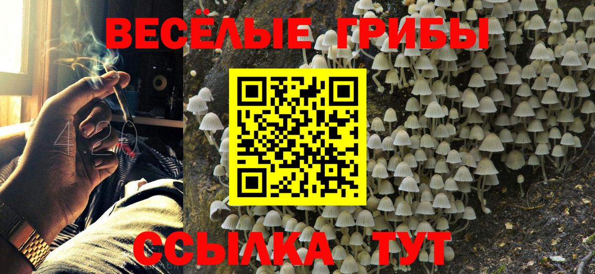 Среднеуральск  Галлюциногенные грибы прущие грибы  Вход с VPN 